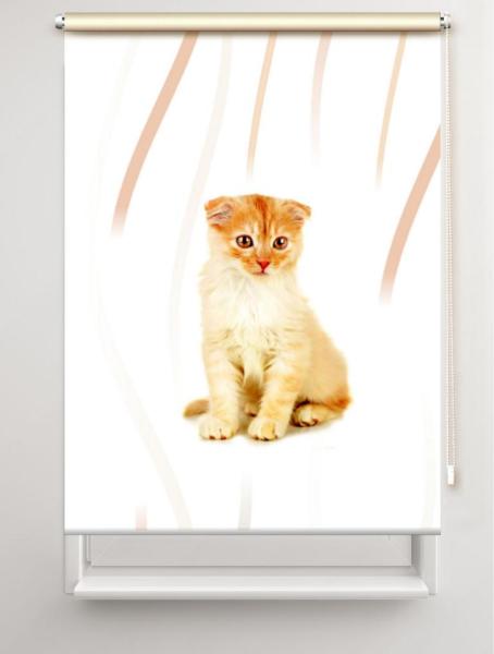 Rollo Tiger Katzenbaby vertic, Rollo, Motivrollo, Rollo mit Druck, Fotorollo, bedrucktes Rollo, Fensterrollo,verdunkelndes Rollo, Sonnenschutz